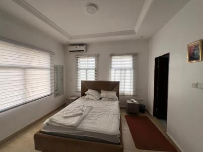 Furnished 2 Bedrooms Apartment, Ikate, Lekki, Lagos, Flat / Apartment for Rent