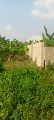 Fenced Land Full Plot, Igbogbo Primary Health Care, Igbogbo, Ikorodu, Lagos, Mixed-use Land for Sale