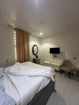 Fully Furnished 2 Bedroom Apartment with Bq, Ikate, Lekki, Lagos, House for Rent