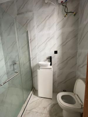 Luxury 2bedroom Apartments with Excellent Facility, Ologolo, Ologolo, Lekki, Lagos, Flat / Apartment for Rent