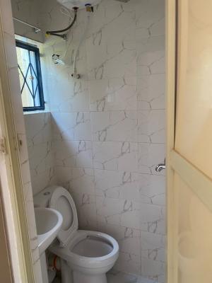 Newly Built Roomself, Alapere, Ketu, Lagos, Flat / Apartment for Rent