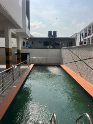 Luxury 2bedroom Apartment with Excellent Facility, Lekki, Ologolo, Lekki, Lagos, Flat / Apartment for Rent