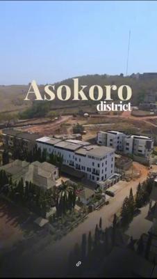 a Luxury 5 Bedroom Terrace Duplex with Excellent Facilities, Mike Ozekhome Street, Asokoro District, Abuja, Terraced Duplex for Sale