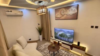 Fully Furnished 1 Bedroom Flat Apartment Standardly Built, Zone 6, Wuse, Abuja, Flat / Apartment for Rent
