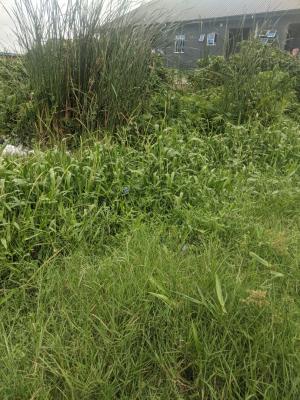 Land, Ilabere Avenue Off Queens Drive, Old Ikoyi, Ikoyi, Lagos, Residential Land for Sale
