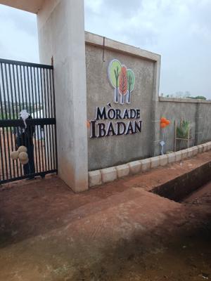 Buy and Build Estate, Morade Estate Beside Lead City University Estate Odo Ona Kekere, Ibadan, Oyo, Residential Land for Sale