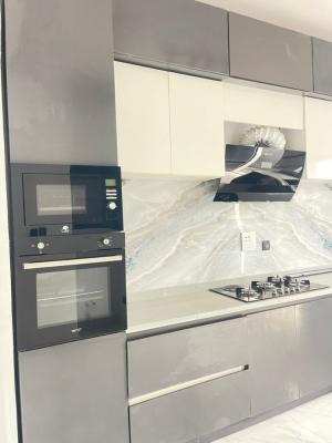 Spacious Luxury One Bedroom Mini Flat with Fully Fitted Kitchen, Westend Estate, Lekki County, Ikota., Ikota, Lekki, Lagos, Mini Flat (room and Parlour) for Rent