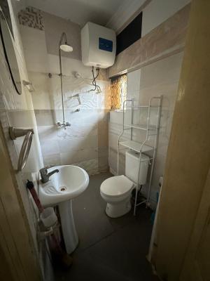 Mini Flat, Ologolo, Lekki Phase 2, Lekki, Lagos, Mini Flat (room and Parlour) for Rent