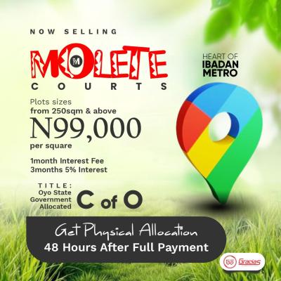 Molete Court Ibadan, Get Physical Allocation Within 48hours, Challenge-molete Road, Ibadan, Oyo, Residential Land for Sale