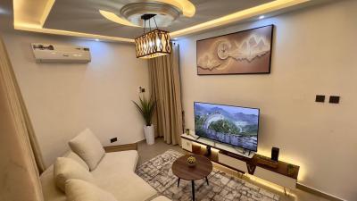 Luxury Furnished 1 Bedroom, Wuse Zone, Wuse, Abuja, Flat / Apartment for Rent