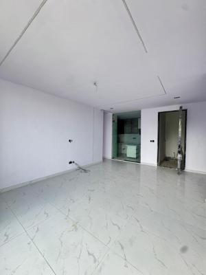 Biggest   3 Bedroom Apartments, Ikate, Lekki, Lagos, Flat / Apartment for Sale