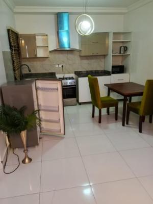 Fully Furnished and Serviced 2 Bedroom with 24 Hrs Power Supply, White Sands Avenue, Ikate, Lekki, Lagos, Flat / Apartment for Rent