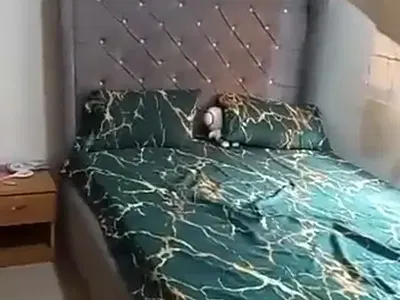 Furnished Room Self Contain Inside a 2 Bedroom Shared Apartment{ Video}
