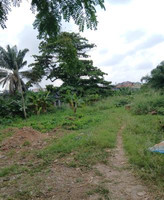 Bareland of About 2 Acres Directly on The Road, Along Osborne/kingsway Road, Ikoyi, Lagos, Mixed-use Land for Sale