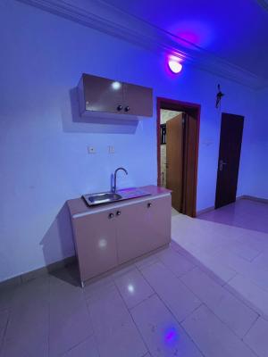 Massive Studio Apartment Comes with Personal Prepaid Meter, Chevron Chevy View, Lekki, Lagos, Flat / Apartment for Rent