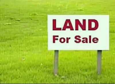 1700sqm Land in Jabi Dakibyu, Jabi, Abuja, Residential Land for Sale