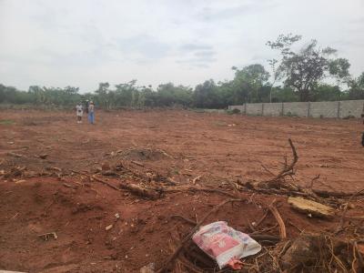 ₦7.25m Land Near Nestlé & Breweries  Smart Investors Are Buying Here, Orile Imo Mowe, Mowe Ofada, Ogun, Residential Land for Sale