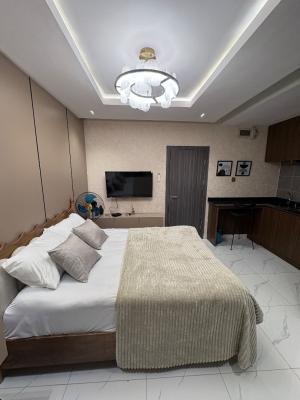 Studio Apartment with Workspace, 24, Abayomi Street, Off Lawanson, Surulere, Lagos, Flat / Apartment Short Let