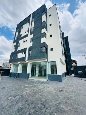 Exquisitely Built 2 Bedroom Apartments in a Secure Location, Allen, Ikeja, Lagos, Flat / Apartment for Sale