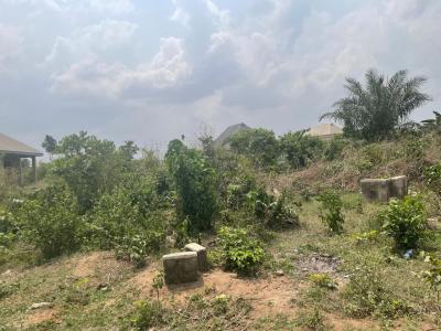 Land  in a Good Location, Tose, Moniya, Ojoo, Ibadan, Oyo, Residential Land for Sale