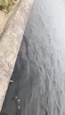 Waterfront  Land Measuring 3,000 Sqm, Admiralty, Lekki Phase 1, Lekki, Lagos, Mixed-use Land for Sale