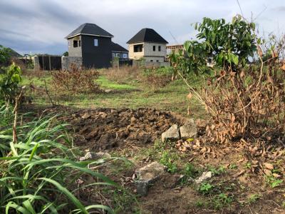 Virgin Dry Table 2 Plot of Land Buy and Built, Ohia Iriebe Off Igbo Etche Road  By Eleme Junction, Port Harcourt, Rivers, Residential Land for Sale