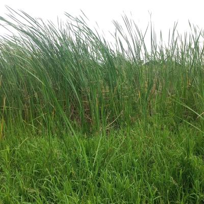 a Full Plot of Land at a Call to Access Estate, Silverpoint Estate Badore Ajah-lekki, Badore, Ajah, Lagos, Residential Land for Sale