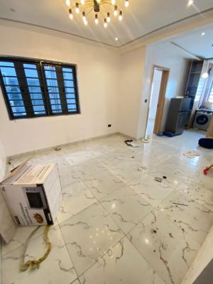 2bedroom with Inverter Fridge Washing Machine, Ologolo, Lekki, Lagos, Flat / Apartment for Rent