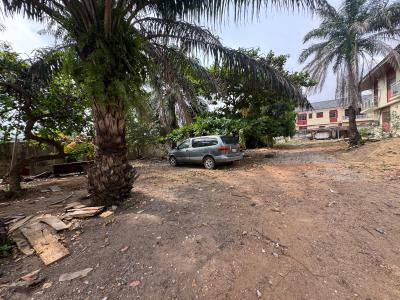 Land in a Secured & Gated Environment, Gra Phase 1, Magodo, Lagos, Residential Land for Sale