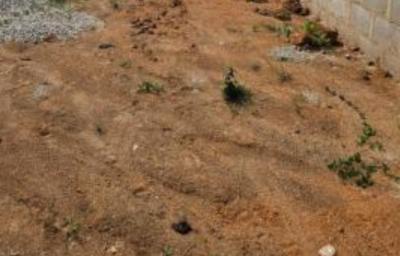 Land, Coker Road, Ilupeju, Lagos, Residential Land Joint Venture