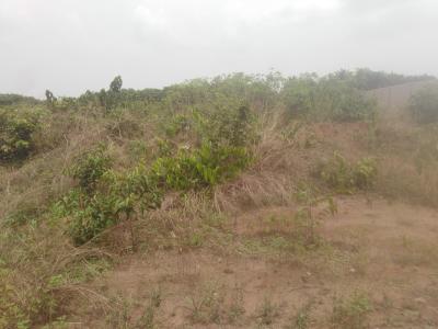 a Prime Plot of Land in Owerri, Avu Road, Avu, Owerri West, Imo, Mixed-use Land for Sale