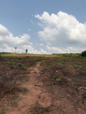 Lush Estate Phase 3, Admiralty Drive, Asaba, Delta, Mixed-use Land for Sale