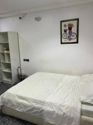 Two Bedroom Furnished Apartment, Ikate, Lekki, Lagos, Flat / Apartment for Rent