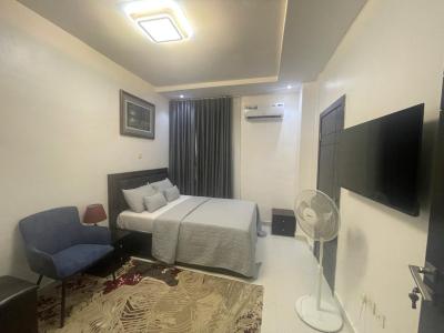 Newlty Built 2 Bedroom Furnished Flat in a Serene, Calm, Secure Estate, Alausa Height Ikeja, Ikeja, Lagos, Flat / Apartment for Rent