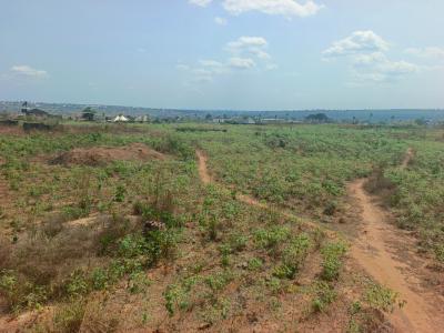 a Massive Parcel of Land, Asaba, Delta, Mixed-use Land for Sale