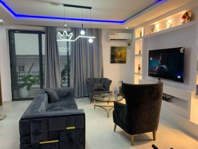 a Fully Furnished 2bedroom Flat Apartment with Solar, County, Lekki, Lagos, Flat / Apartment for Rent