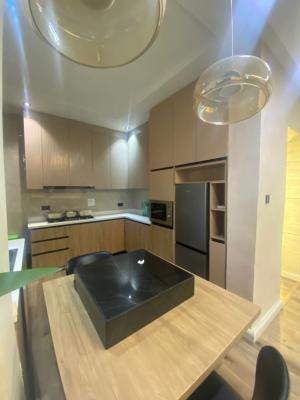 Luxury 2 Bedroom Furnished Apartment with Excellent Facilities, Freedom Way, Lekki Phase 1, Lekki, Lagos, Flat / Apartment for Rent