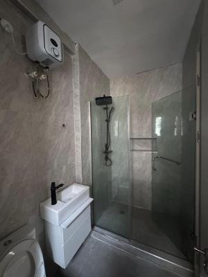 Luxury 3 Bedroom Apartment with Excellent Facility, Ikate, Lekki, Lagos, Flat / Apartment for Rent