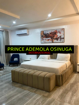 Furnished 3 Bedroom Apartment + Bq (no Pool Or Gym), Parkview Estate Ikoyi, Parkview, Ikoyi, Lagos, Flat / Apartment for Rent