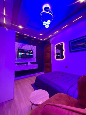 Luxury 1 Bedroom Apartment with Housekeeping and 24hrs Power Supply, Refrigerator,netflix and Cookware, Yaba, Lagos, Flat / Apartment Short Let