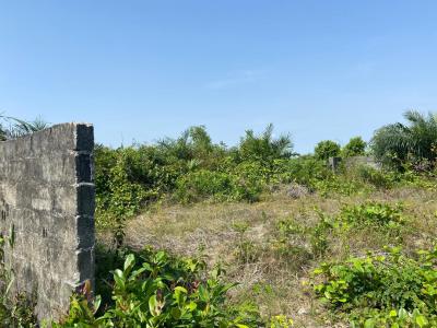 Most Affordable Cofo Land. Sweet Dry Land. Title: Cofo. Buy N Build, Bolorunpelu, By Beachwood Est Bogije, Just 20 Min Drive From Ajah/vgc, Ibeju Lekki, Lagos, Mixed-use Land for Sale