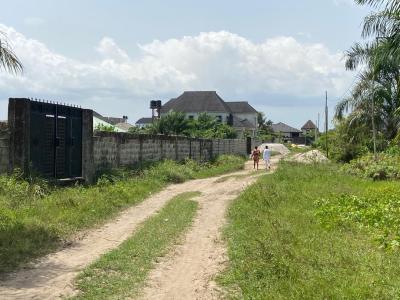 Best C of O Promo! Title: C of O. Buy and Build 100% Genuine Dry Plots, B Olorunpelu, Beside Beachwood Estate, After Bogije, Shapati, Ibeju Lekki, Lagos, Mixed-use Land for Sale