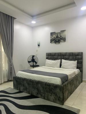 Fully Furnished & Seevice 2bedroom Flat with Swimming Pool, Off Petrocam Filing Station Elf Bus/stop, Lekki Phase 1, Lekki, Lagos, House for Rent