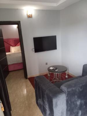 Furnished Luxury One Bedroom Apartment, Boje Arthur Close, Royal Palmwill Estate, Badore, Ajah, Lagos, Mini Flat (room and Parlour) for Rent
