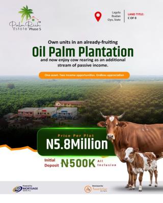 Tap Into The Global Palm Oil Market for Sustainable Wealth Creation., Start Building Your Future Today. Plant Wisely. Invest in Palmrich Pha, Ibadan, Oyo, Commercial Land for Sale