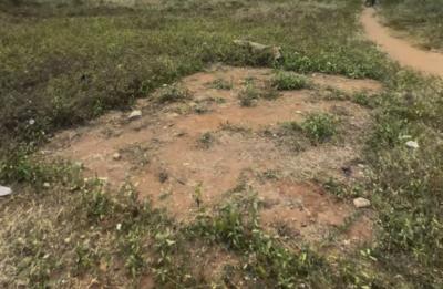 2800sqm Waterfront Property, Osborne Phase Two, Osborne, Ikoyi, Lagos, Land for Sale