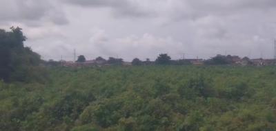 Buy and Build Land, Buffer Zone By 2nd Avenue, Festac, Amuwo Odofin, Lagos, Land for Sale