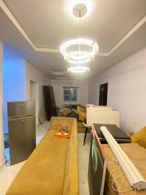 Spacious 2 Bedroom Apartment, Lekki Conservation Road, Lekki, Lagos, Flat / Apartment for Rent