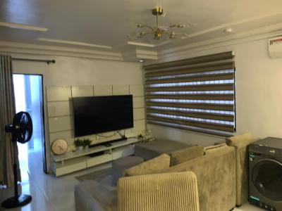 a Luxury Furnished 1 Bedroom Apartment, Victoria Island (vi), Lagos, Mini Flat (room and Parlour) for Rent