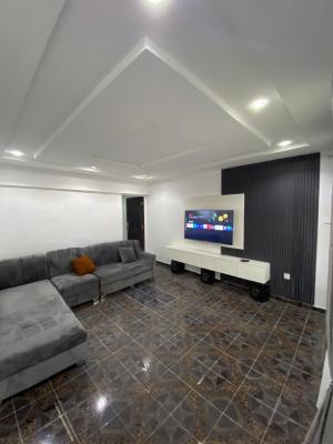 Nicely Furnished 1 Bedroom Apartment, Close to Nafdac Hq, Zone 7, Wuse, Abuja, Mini Flat (room and Parlour) for Rent